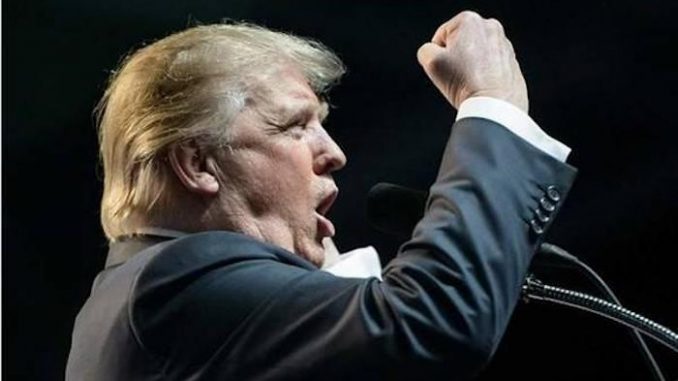 Donald Trump won the popular vote by a landslide