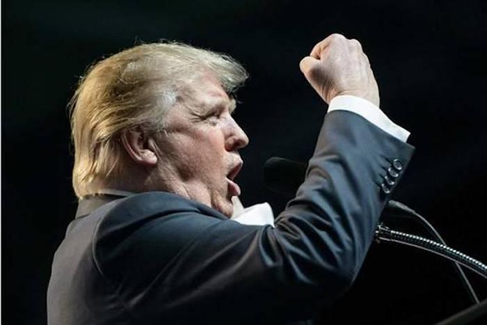 Donald Trump won the popular vote by a landslide