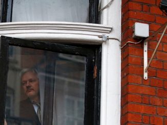 Fears grow for Julian Assange's safety after Wikileaks send out cryptic tweets