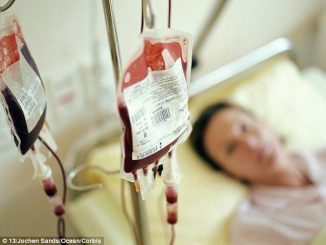 Study finds blood from young people to have a 'rejuvenating' effect on older bodies and brains