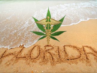 Big Win For Medical Marijuana In Florida