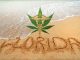 Big Win For Medical Marijuana In Florida