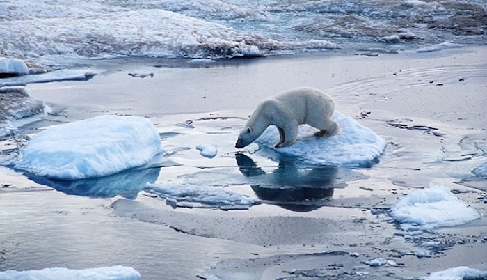 Scientists warn global warming flood is coming, sooner rather than later