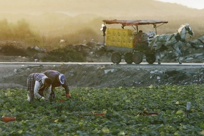 Israel sprays pesticides along Gaza border over Christmas period