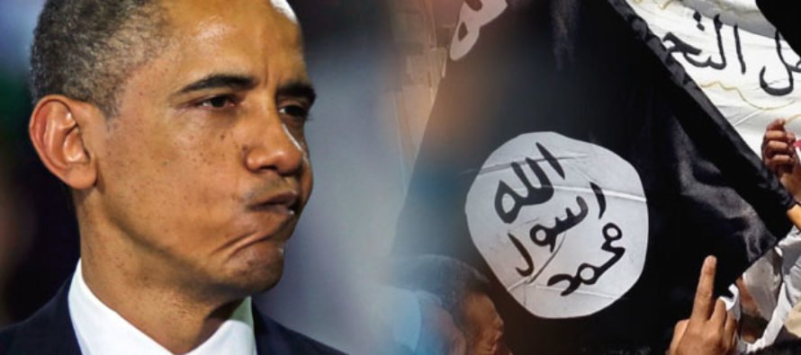 US Claim Of Killing 50,000 ISIS Terrorists 'Fairytale': Ex Diplomat