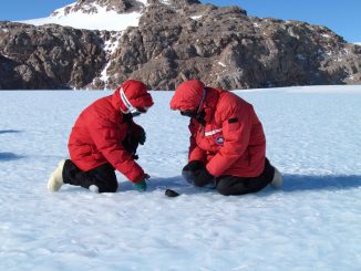 Russian scientists discover new life form in Antarctica