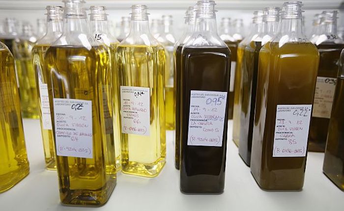 More than two-thirds of common brands of extra-virgin olive oil found in American grocery stores aren’t what they claim to be, according to a University of California at Davis study.