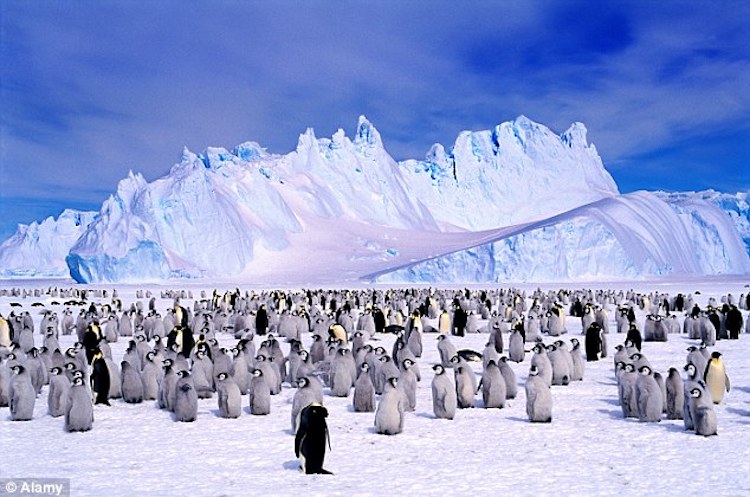 Global warming theories implode as scientists detect record-breaking sea-ice levels in the North and South Poles