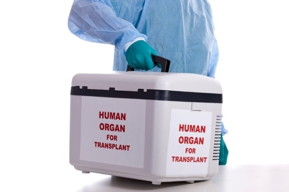 International Organ Trafficking Ring Busted In Egypt