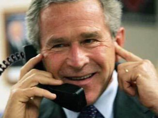 The discovery of the “stupid” virus, normally found in algae, was revealed at the Proceedings of the National Academy of Sciences.