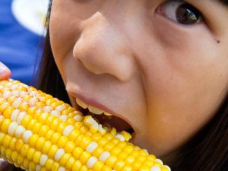 New report proves GM food is harmful to human health