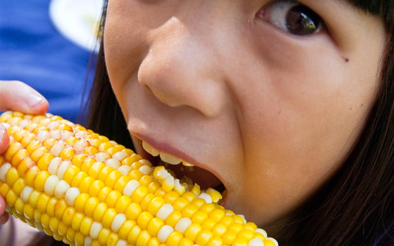 New report proves GM food is harmful to human health
