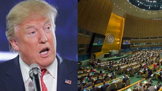 Days after Trump's inauguration, members of Congress are seizing the moment and pushing for America to exit the United Nations.