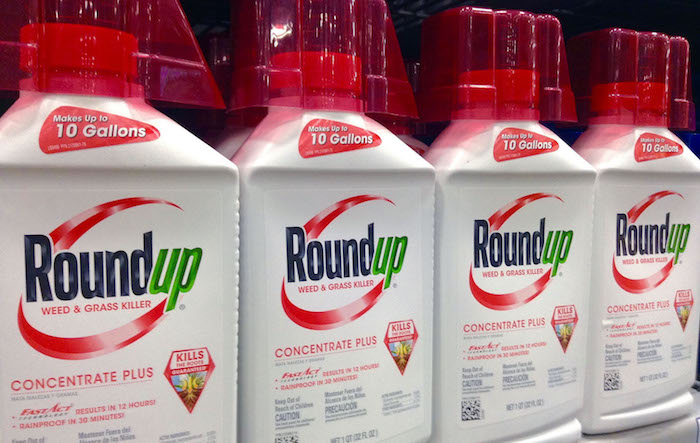 Monsanto weed-killer 'Roundup' labelled as cancer-causing in California
