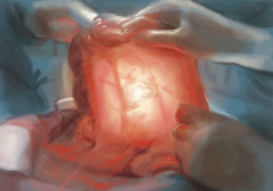 Scientists have discovered a "new organ" that has been hiding in plain sight inside the human body -- just don't ask them to tell you what purpose it serves.