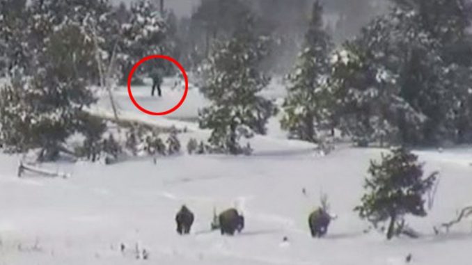 North Dakota resident tracks Bigfoot 7 miles in the snow