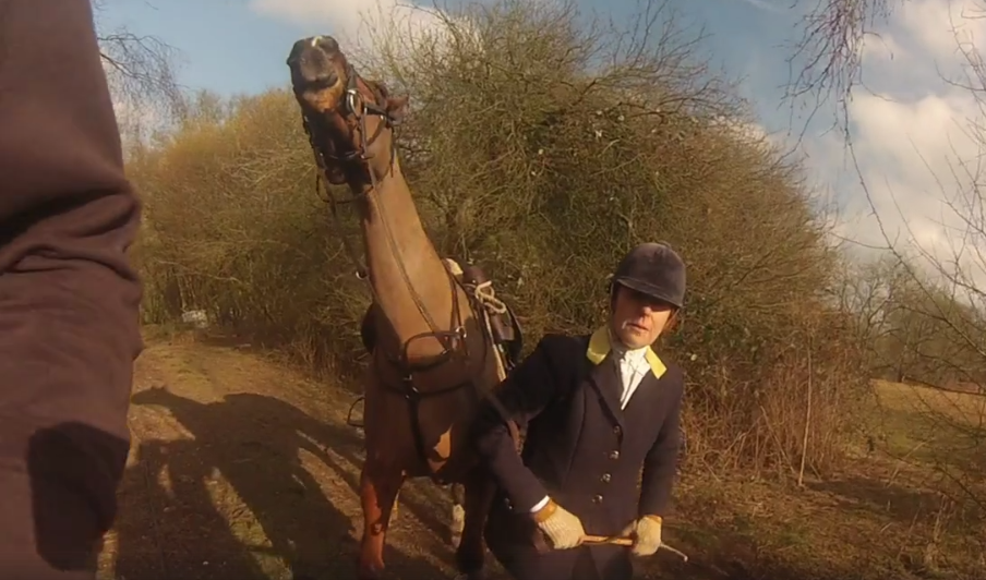 foxhunt protester