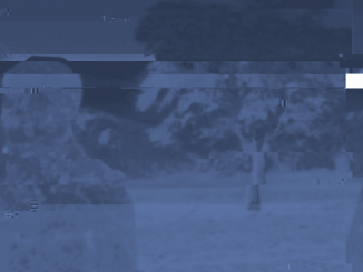 Spooky alien selfie results in 4chan website being temporarily shut down