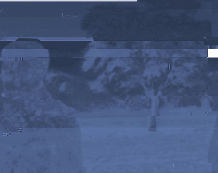 Spooky alien selfie results in 4chan website being temporarily shut down