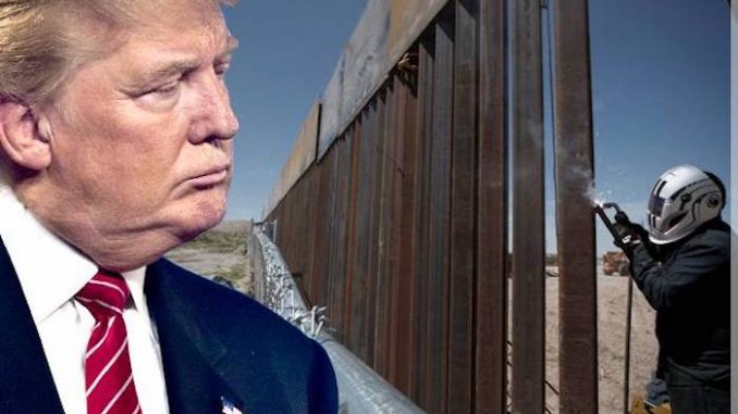 The Trump administration has opened the bidding for private companies to construct the border wall between the US and Mexico.