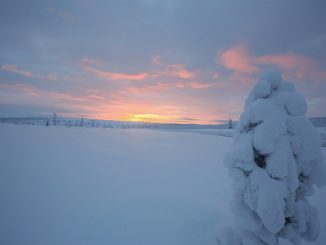 European scientists warn of nuclear incident in Arctic circle