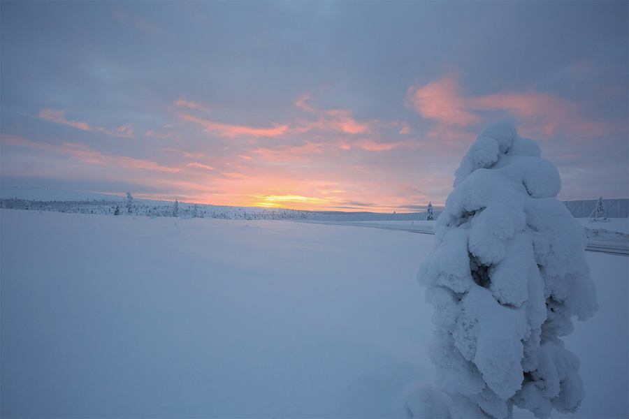 European scientists warn of nuclear incident in Arctic circle