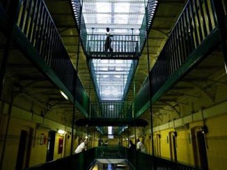 There are so many active pedophiles at large that if they were all convicted and sent to jail the prison system would not be able to hold them all, according to a police chief.