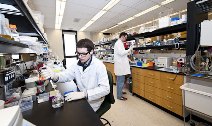 Yale University study confirms link between vaccines and autism