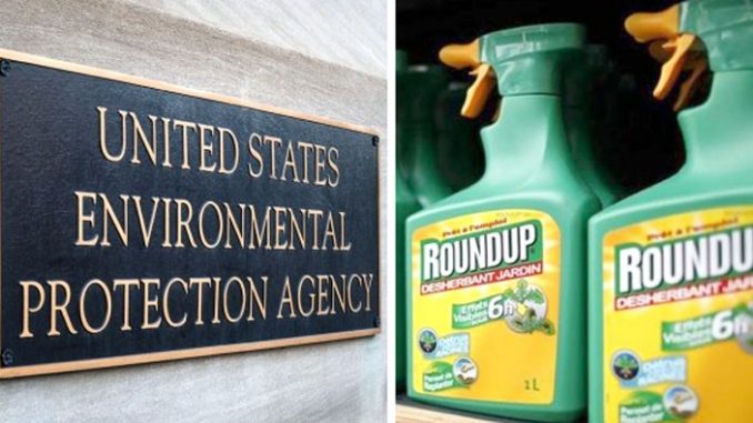 A court case in California has revealed that Monsanto colluded with the EPA to coverup the fact that Roundup causes cancer.