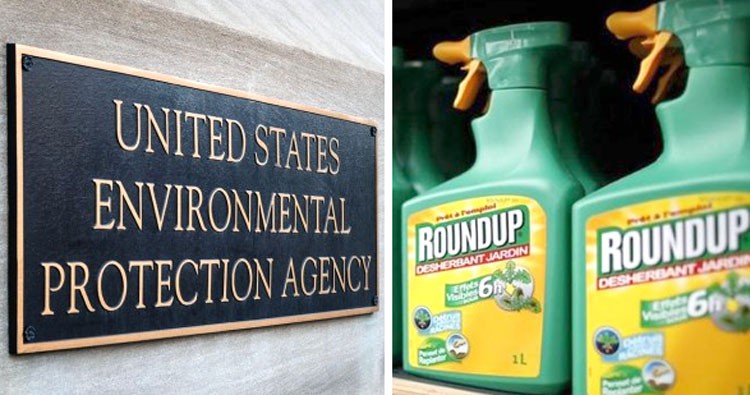 A court case in California has revealed that Monsanto colluded with the EPA to coverup the fact that Roundup causes cancer.