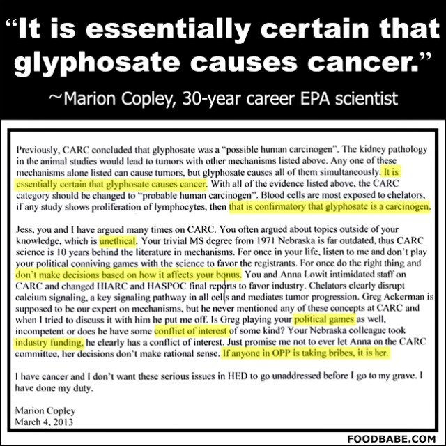 ROUNDUP-MONSANTO-CANCER