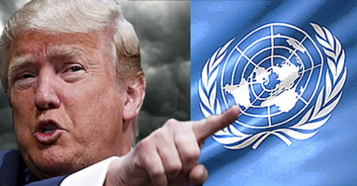 Trump reviews US membership of U.N.