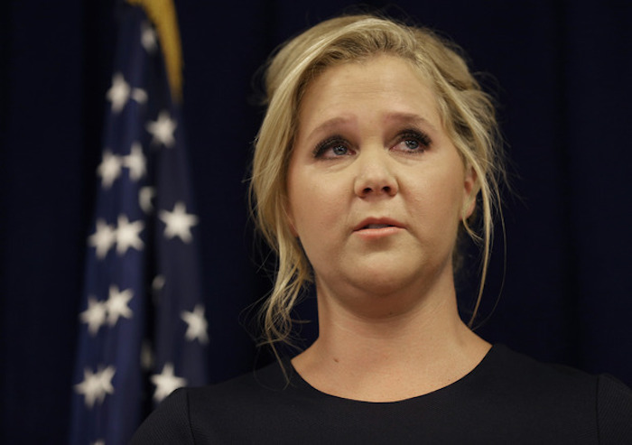 Amy Schumer has launched an attack on Trump supporters, blaming them for the flop of her critically panned Netflix show, The Leather Special.