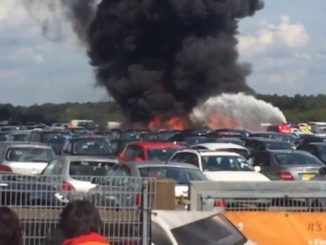 Bin Laden family plane crash deaths declared 'accidental' by court