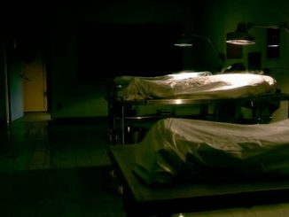 Canadian doctors record proof of life after death