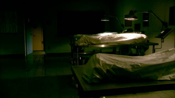 Canadian doctors record proof of life after death