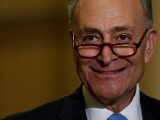 Senator Chuck Schumer calls for anarchy in America