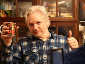 Julian Assange has proudly declared himself a "deplorable" on Twitter, aligning himself with the dispossessed, the maligned and the faithful.