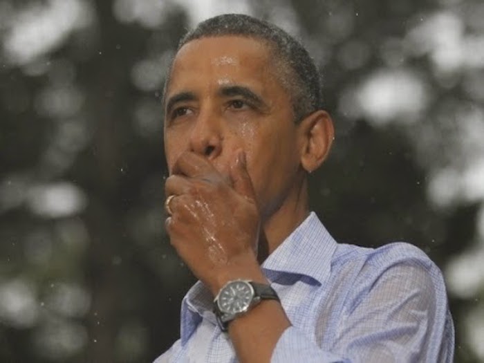 Barack Obama has been declared the most destructive leader of a political party since World War II