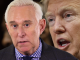 Roger Stone Jr. survives assassination attempt in his car