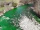 Spanish rivers turn luminous green sparking fears that Spanish government poisoned its citizens