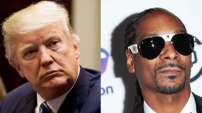 President Trump has weighed in on Snoop Dogg's sad new video in which the has-been rapper points a toy gun at a clown version of the president.