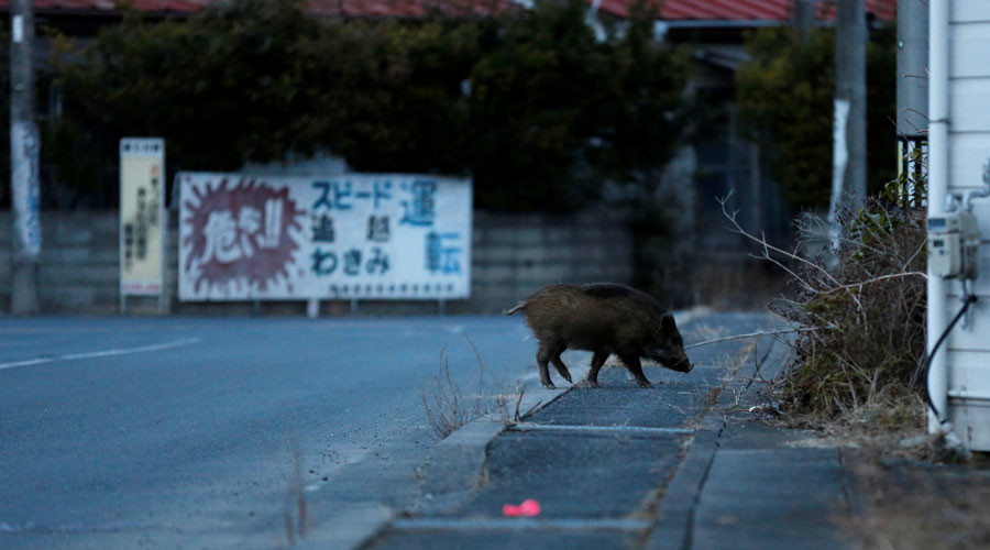 © Toru Hanai / Reuters 