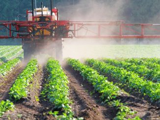 USDA report reveals that 85% of all US food is contaminated with dangerous pesticides