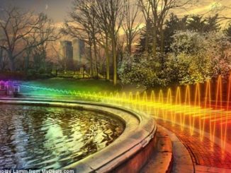 A high school experiment by five 9th grade girls in Denmark is attracting international attention after proving WiFi signals can have a devastating impact on health.