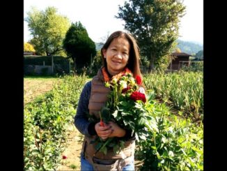 An attorney who was working on multiple legal cases against members of an elite pedophile ring was shot dead in the street in broad daylight in Atlanta on Monday.