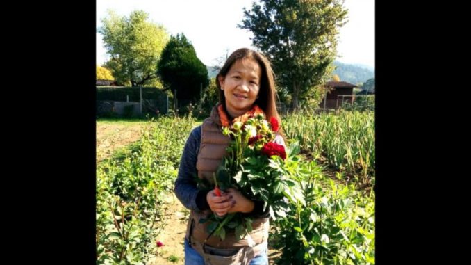 An attorney who was working on multiple legal cases against members of an elite pedophile ring was shot dead in the street in broad daylight in Atlanta on Monday.