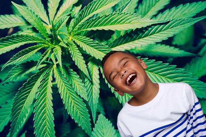 Study finds marijuana a miracle cure for autism