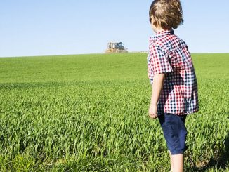 Study shows that pesticides leads to early puberty in children