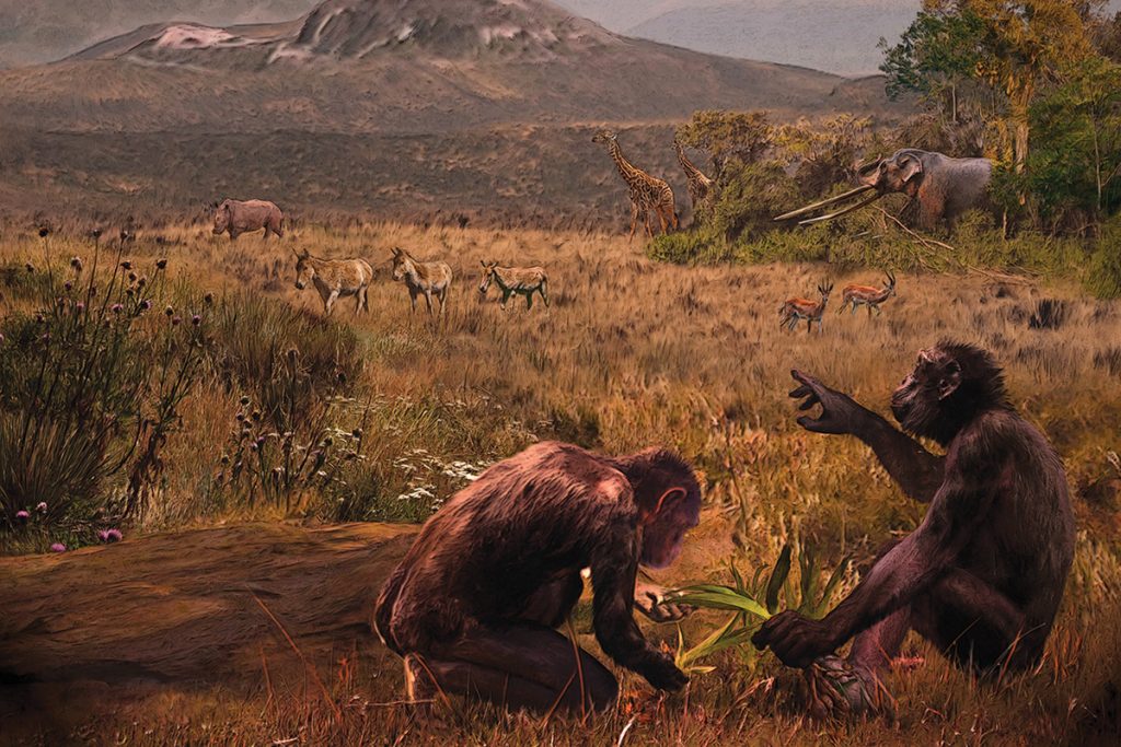 Europe is the birthplace of mankind, not Africa